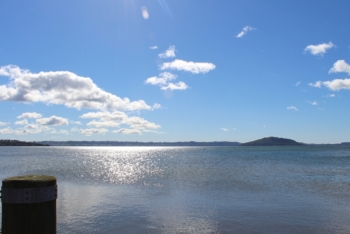 Expert Evidence on Nitrate Emissions Trading System to Protect Lake Taupo, New Zealand