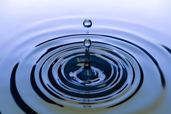 Water Sector Regulation Notes