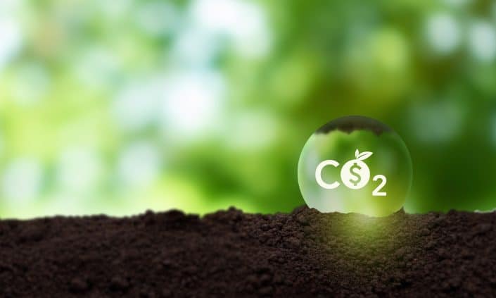 Voluntary Carbon Market Image