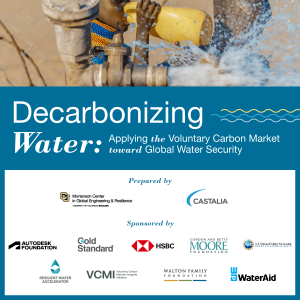 Voluntary Carbon Markets for the Water Sector