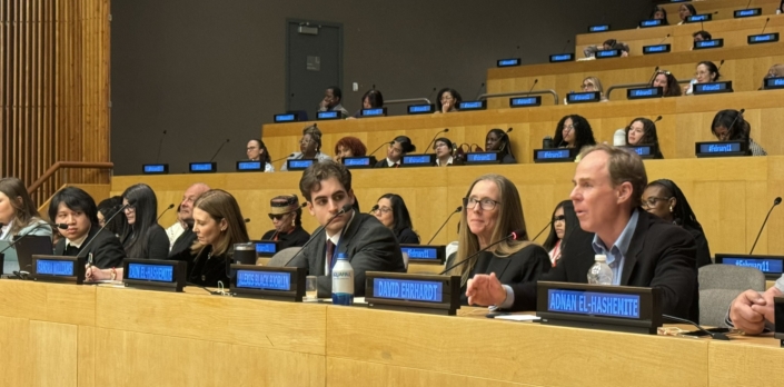 DE at UN RASIT NY David Ehrhardt at UN RASIT in New York